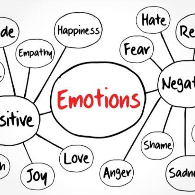 Be Practical with Your Emotions