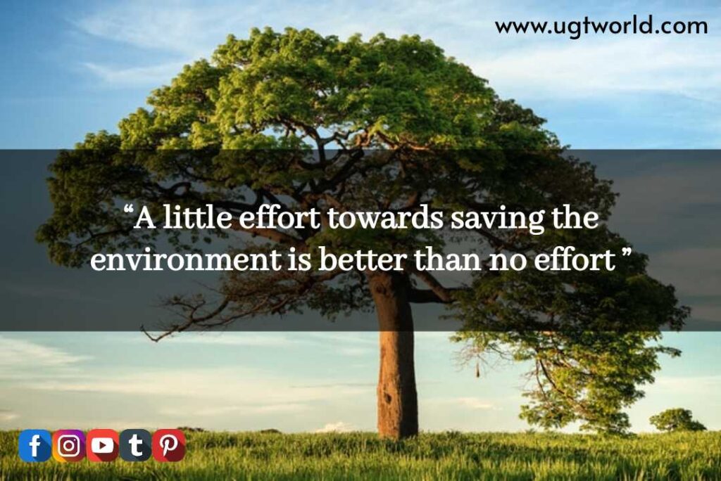 World Nature conservation day quotes 