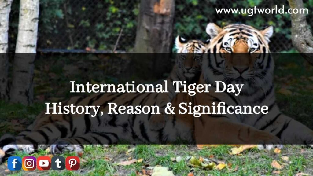 International Tiger Day : History, Reason and Significance